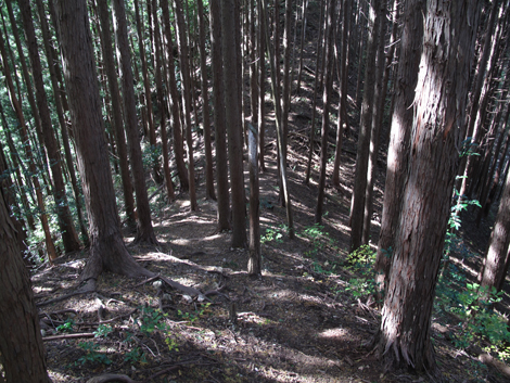 20171102hike (33)